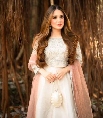 formal luxury festive collection 2024 by shop with Namra